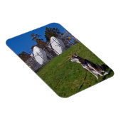 追跡犬 マグネット (右側)