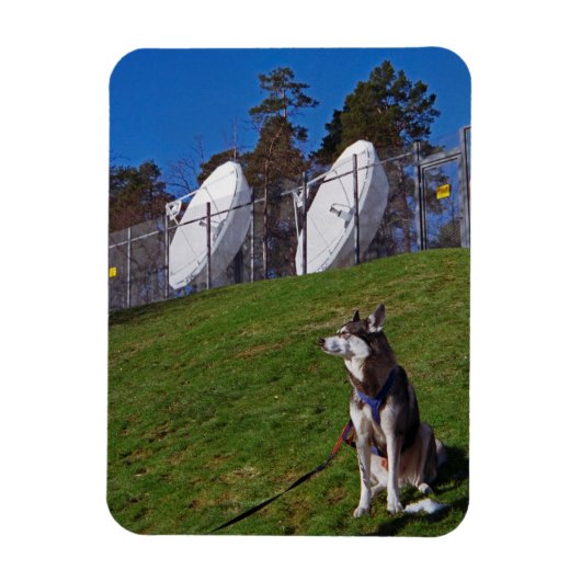 追跡犬 マグネット (縦)