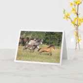 追跡 カード (黄色い花)