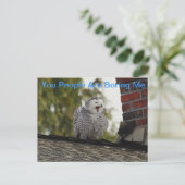 退屈させた雪のフクロウ ポストカード (スタンド正面)