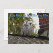 退屈させた雪のフクロウ ポストカード (正面/裏面)