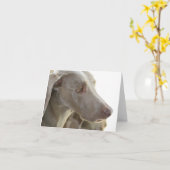 退屈させたWeimaranerのメッセージカード カード (黄色い花)