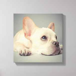 退屈なフランスのブルドッグ キャンバスプリント