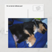 退屈な眠い子犬 ポストカード (正面/裏面)