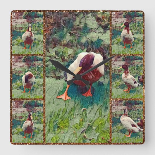 退屈アヒル写真コラージュ、正方形の壁時計 スクエア壁時計 (正面)