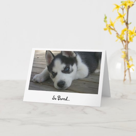 退屈 カード (黄色い花)