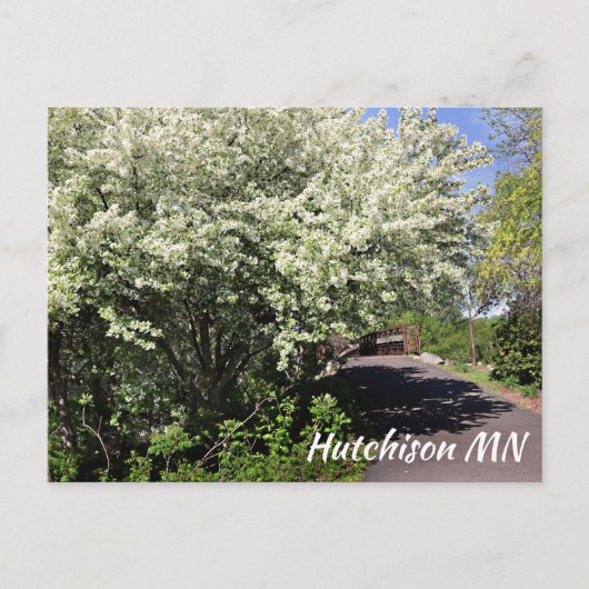 退役軍人メモリアルパークハッチンソンMNポストカード ポストカード (正面)