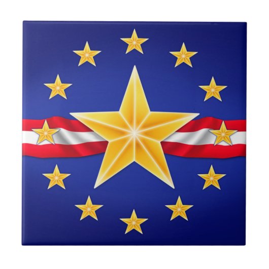 退役軍人星 タイル (正面)