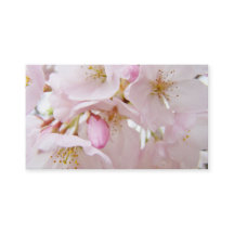 退職おめでとう 名刺 桜の花