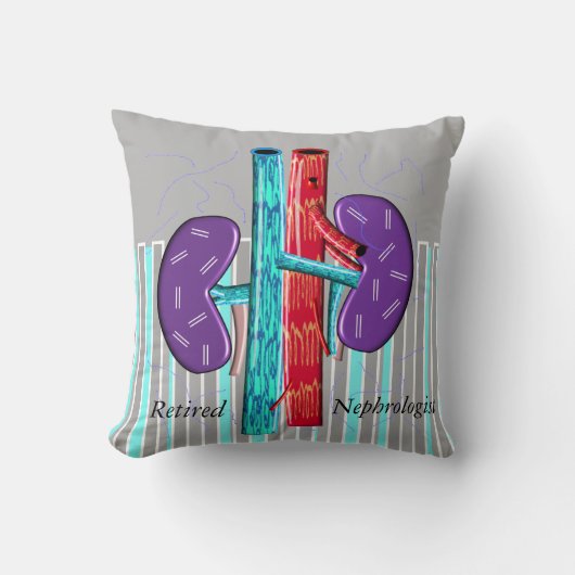 退職したなNephrologistの昼寝の枕 クッション (正面)