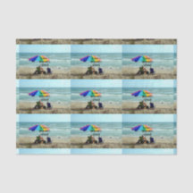 退職した毎日が土曜日。行き過ぎた魚釣り