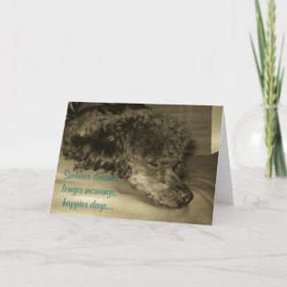 退職の挨拶状 カード