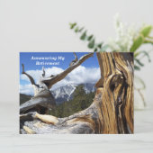 退職案内マウンテンスルーツリー 案内状 (スタンド正面)