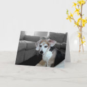 退職用ロックスカード カード (黄色い花)