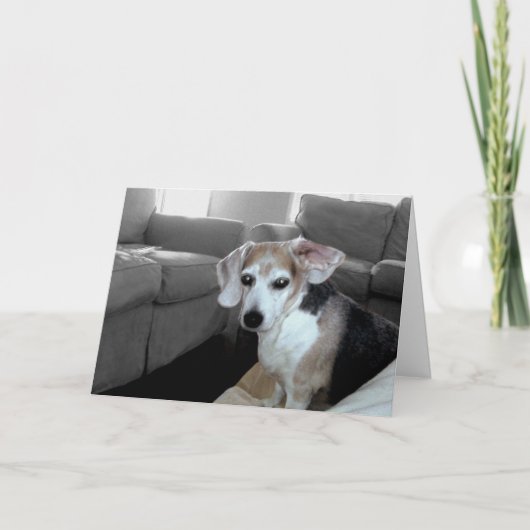 退職用ロックスカード カード (正面)