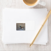 逃げ出す ラベル (インサイチュ)