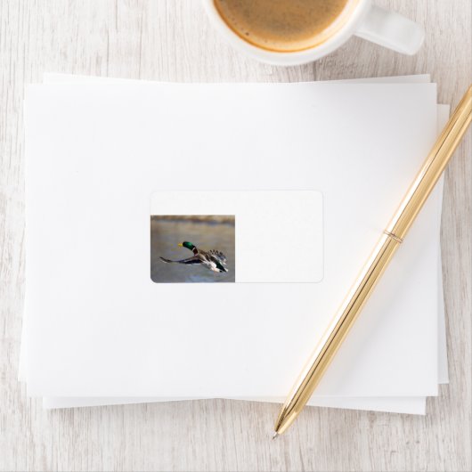 逃げ出す ラベル (インサイチュ)