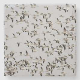 逃走中のガチョウの群れ ストーンコースター