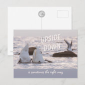逆さまにスワンカップルCC0758思慮深い ポストカード (正面/裏面)