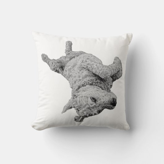 逆さまに上がった至福 クッション (正面)