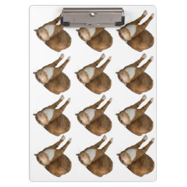 逆さまのサンシャインキャット クリップボード