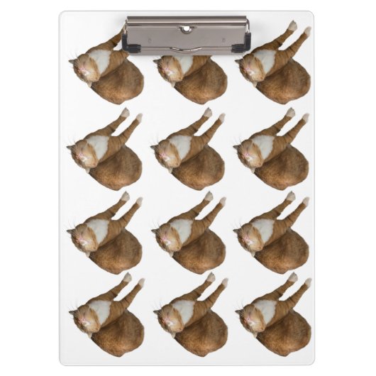 逆さまのサンシャインキャット クリップボード (正面)