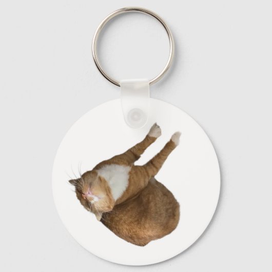 逆さまサンシャイン猫 キーホルダー (正面)