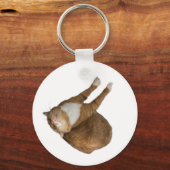 逆さまサンシャイン猫 キーホルダー (正面)