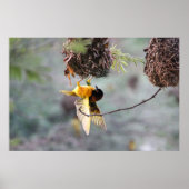 逆さま ポスター (正面)