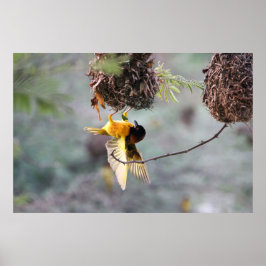 逆さま ポスター