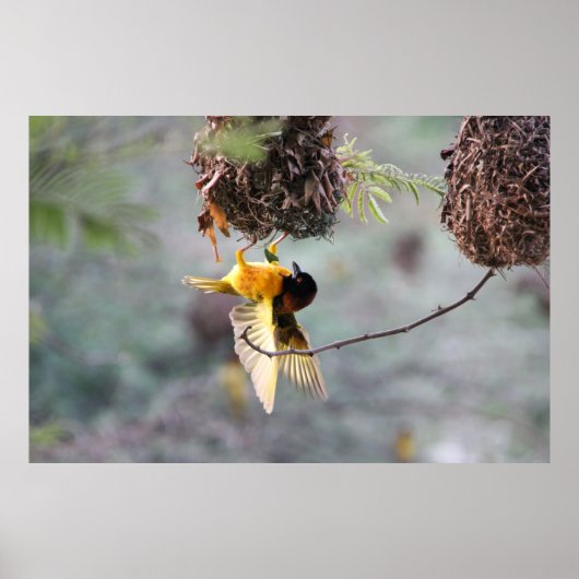 逆さま ポスター (正面)