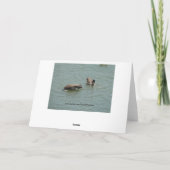 逆さガチョウ、誕生日 カード (裏面)