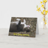 逆さ子猫感じのBetter Card カード (黄色い花)