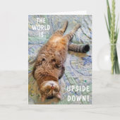 逆さ恋しく思に カード (正面)