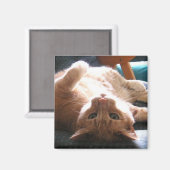 逆さ猫マグネット マグネット (正面/裏面)