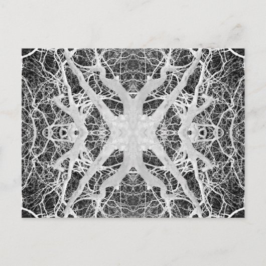 逆ツリートップスパイダーのくもの巣はがき ポストカード (正面)