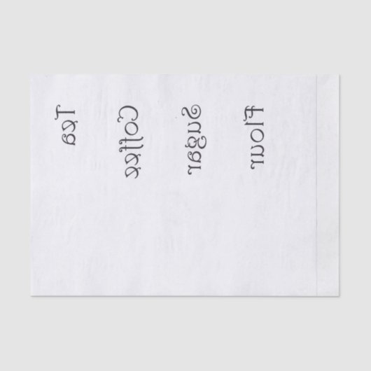 逆ティーコーヒー粉砂糖 薄葉紙 (正面)