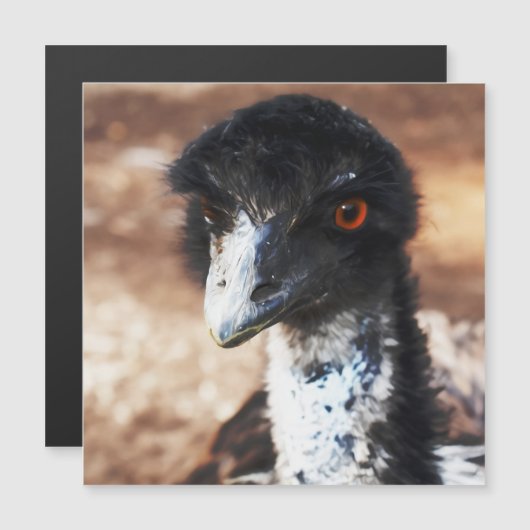 逆磁気カードの目のピアシング (正面/裏面)