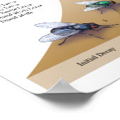 逆Deposersプリント ポスター (角)