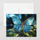 透かわいらし明な青い蝶 ポストカード (正面/裏面)