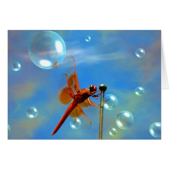 透明で赤いトンボ (正面横)