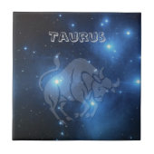 透明なおうし座 タイル (正面)