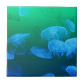 透明なくらげ タイル (正面)