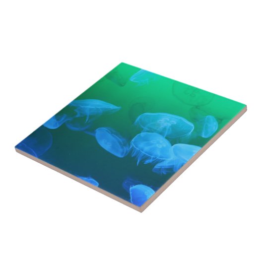 透明なくらげ タイル (側面)