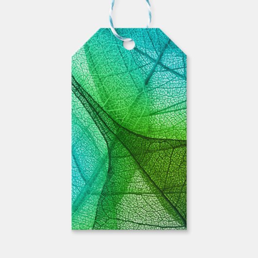 透明なを通過する日葉光 ギフトタグ (正面)