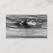 透明なバンド-カメラマンの名刺 名刺 (裏面)