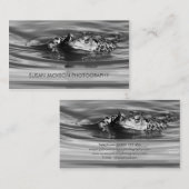 透明なバンド-カメラマンの名刺 名刺 (正面/裏面)