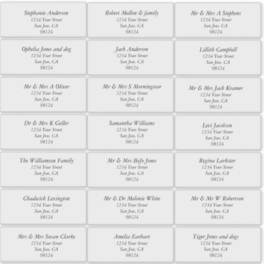 透明なプレーン受信者の住所 シール (正面)