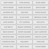 透明なモダンなシックなゲスト名ステッカー シール (正面)