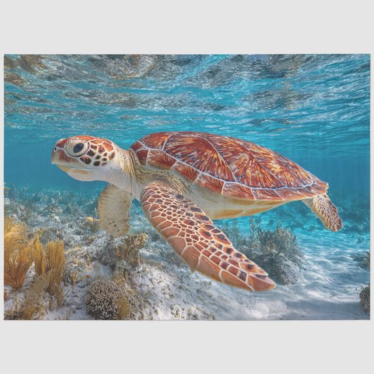 透明な水の中のウミガメのデコパージュ 薄葉紙 (正面)